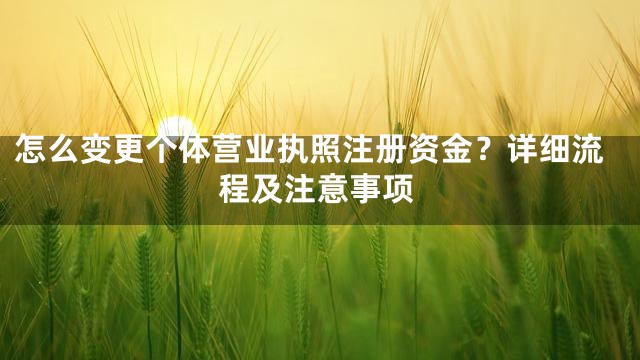 怎么变更个体营业执照注册资金？详细流程及注意事项