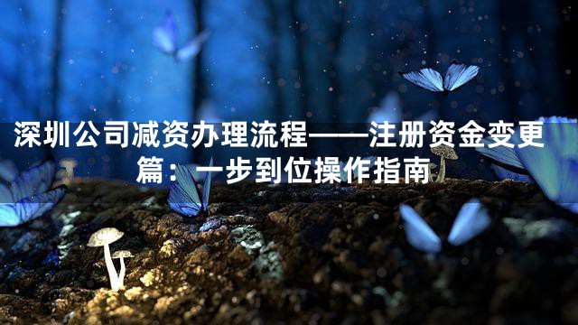 深圳公司减资办理流程——注册资金变更篇：一步到位操作指南