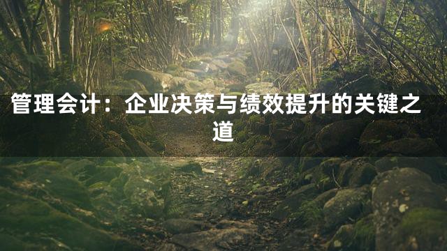 管理会计：企业决策与绩效提升的关键之道