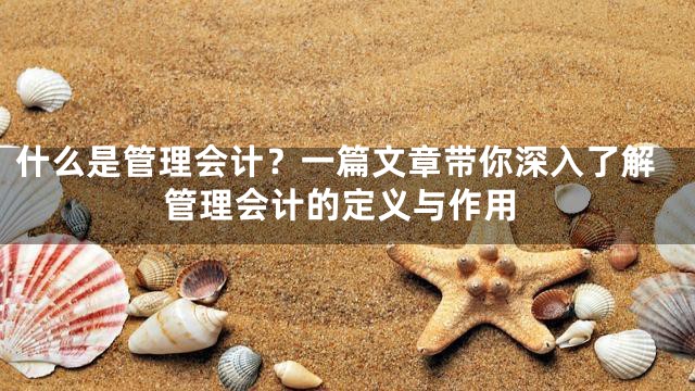 什么是管理会计？一篇文章带你深入了解管理会计的定义与作用