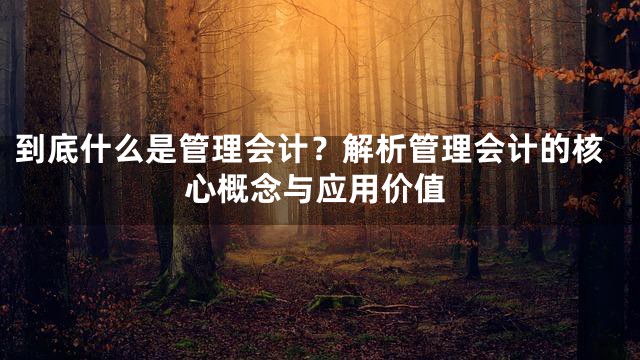到底什么是管理会计？解析管理会计的核心概念与应用价值