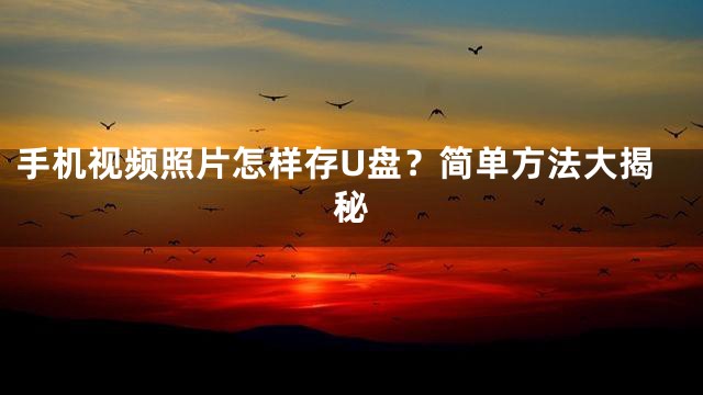 手机视频照片怎样存U盘？简单方法大揭秘