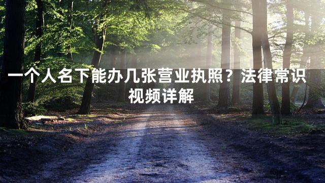 一个人名下能办几张营业执照？法律常识视频详解