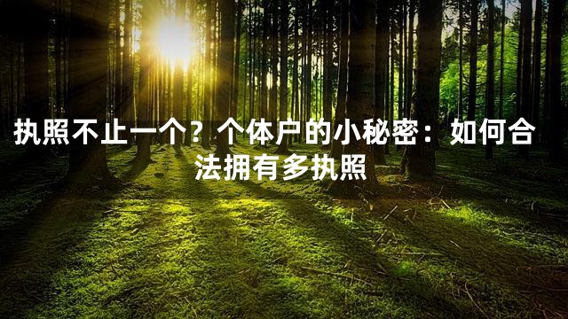 执照不止一个？个体户的小秘密：如何合法拥有多执照