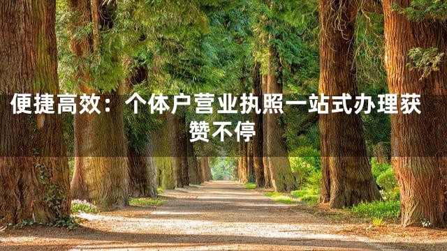 便捷高效：个体户营业执照一站式办理获赞不停