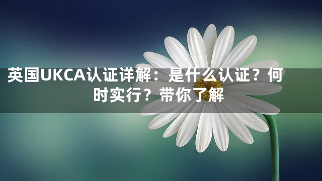 英国UKCA认证详解：是什么认证？何时实行？带你了解