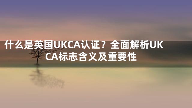 什么是英国UKCA认证？全面解析UKCA标志含义及重要性