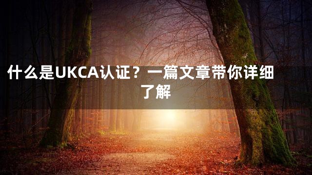 什么是UKCA认证？一篇文章带你详细了解