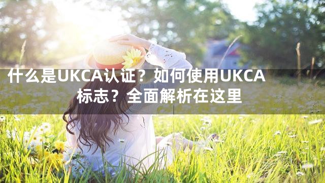 什么是UKCA认证？如何使用UKCA标志？全面解析在这里