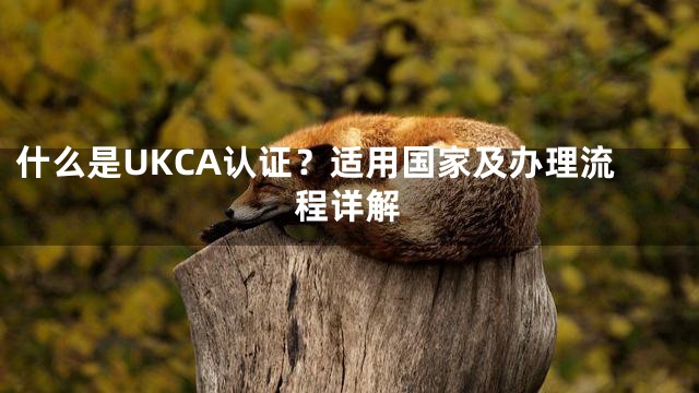 什么是UKCA认证？适用国家及办理流程详解