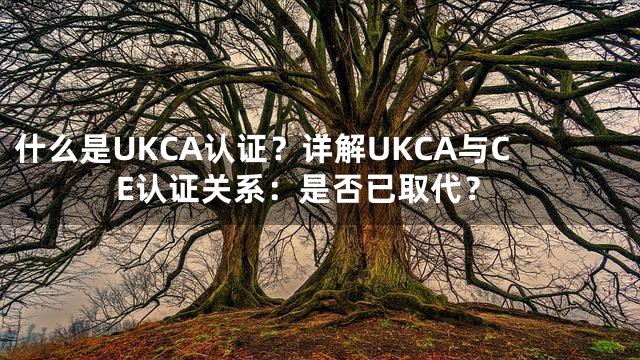 什么是UKCA认证？详解UKCA与CE认证关系：是否已取代？