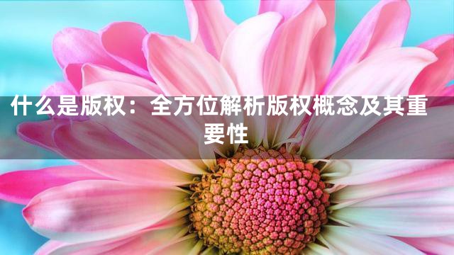什么是版权：全方位解析版权概念及其重要性