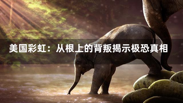 美国彩虹：从根上的背叛揭示极恐真相