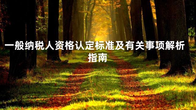 一般纳税人资格认定标准及有关事项解析指南
