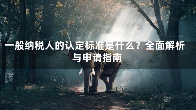 一般纳税人的认定标准是什么？全面解析与申请指南