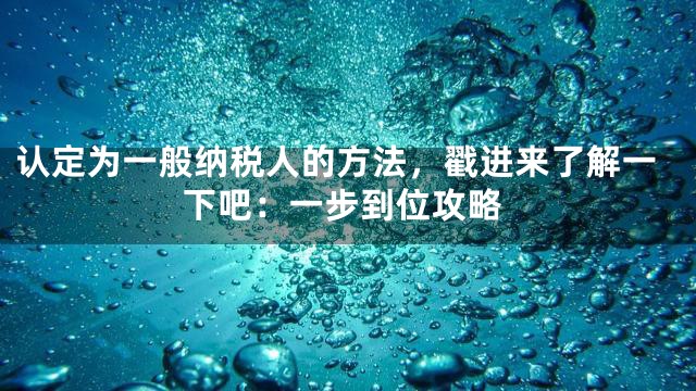 认定为一般纳税人的方法，戳进来了解一下吧：一步到位攻略