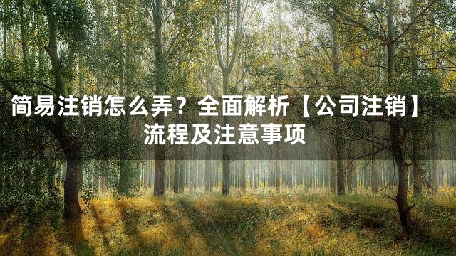 简易注销怎么弄？全面解析【公司注销】流程及注意事项