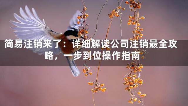 简易注销来了：详细解读公司注销最全攻略，一步到位操作指南
