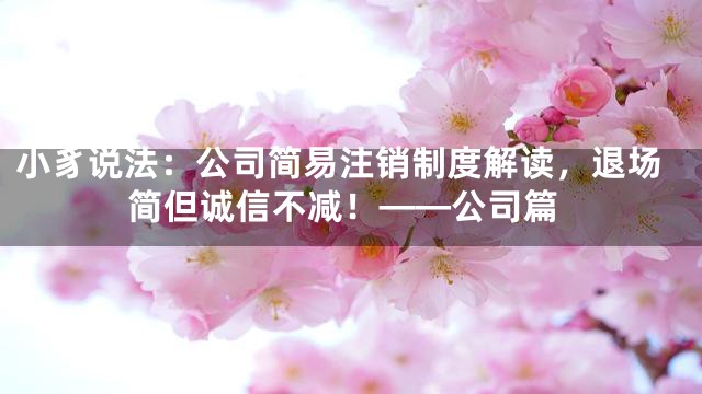 小豸说法：公司简易注销制度解读，退场简但诚信不减！——公司篇