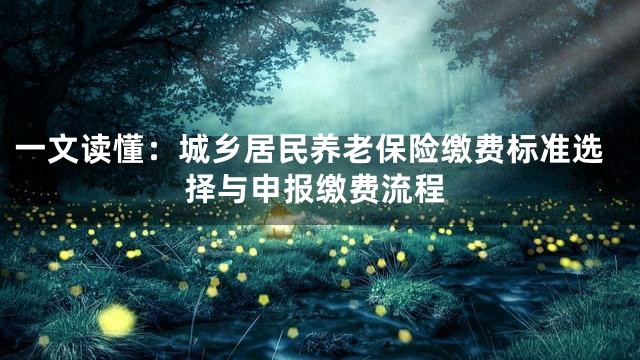 一文读懂：城乡居民养老保险缴费标准选择与申报缴费流程