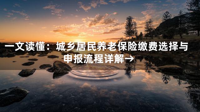 一文读懂：城乡居民养老保险缴费选择与申报流程详解→