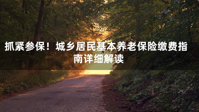 抓紧参保！城乡居民基本养老保险缴费指南详细解读