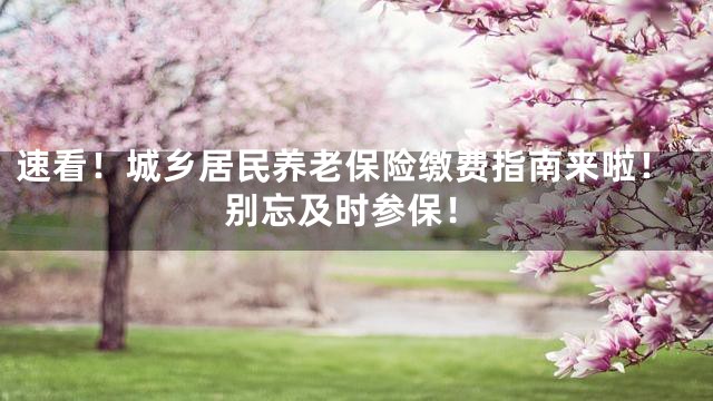 速看！城乡居民养老保险缴费指南来啦！别忘及时参保！