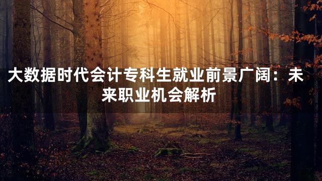 大数据时代会计专科生就业前景广阔：未来职业机会解析