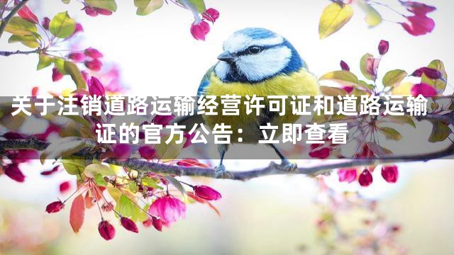 关于注销道路运输经营许可证和道路运输证的官方公告：立即查看