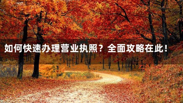 如何快速办理营业执照？全面攻略在此！