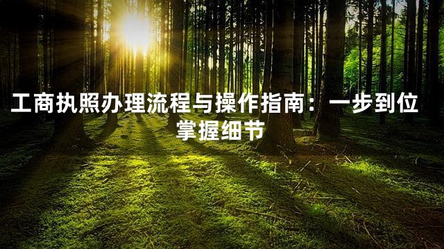 工商执照办理流程与操作指南：一步到位掌握细节