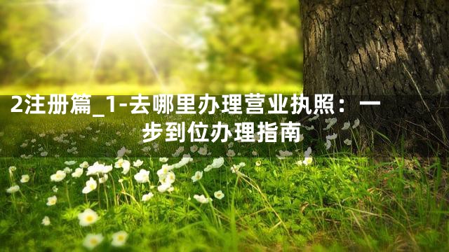 2注册篇_1-去哪里办理营业执照：一步到位办理指南