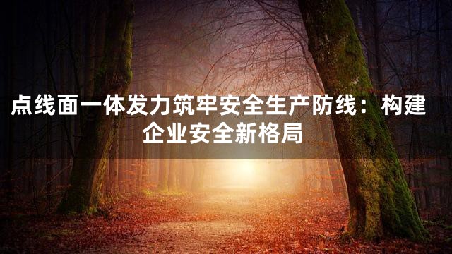 点线面一体发力筑牢安全生产防线：构建企业安全新格局