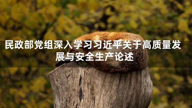 民政部党组深入学习习近平关于高质量发展与安全生产论述
