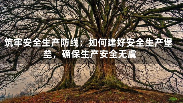 筑牢安全生产防线：如何建好安全生产堡垒，确保生产安全无虞