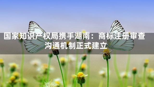国家知识产权局携手湖南：商标注册审查沟通机制正式建立
