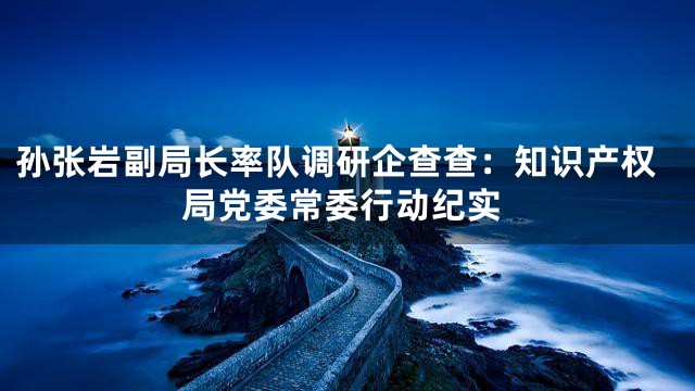 孙张岩副局长率队调研企查查：知识产权局党委常委行动纪实