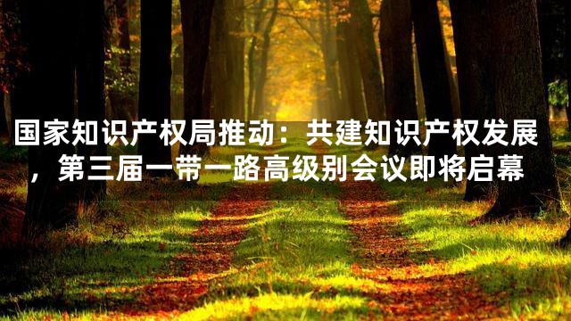 国家知识产权局推动：共建知识产权发展，第三届一带一路高级别会议即将启幕