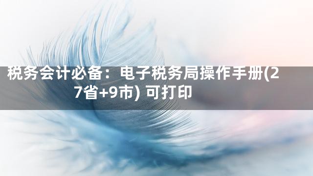 税务会计必备：电子税务局操作手册(27省+9市) 可打印