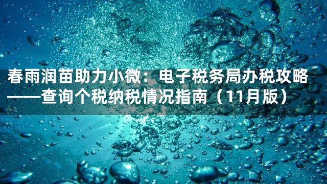 春雨润苗助力小微：电子税务局办税攻略——查询个税纳税情况指南（11月版）