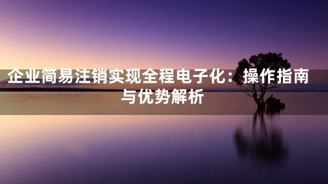 企业简易注销实现全程电子化：操作指南与优势解析
