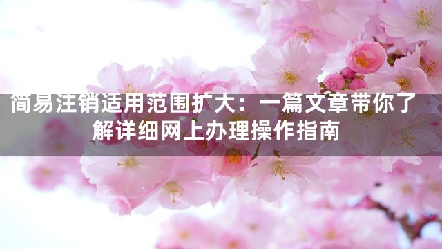 简易注销适用范围扩大：一篇文章带你了解详细网上办理操作指南