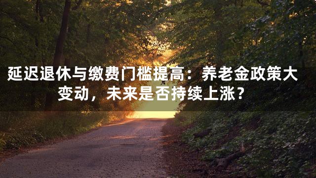 延迟退休与缴费门槛提高：养老金政策大变动，未来是否持续上涨？
