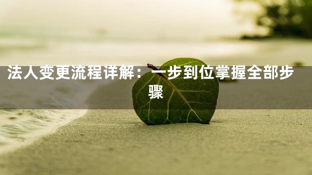 法人变更流程详解：一步到位掌握全部步骤