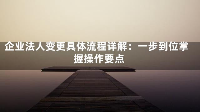企业法人变更具体流程详解：一步到位掌握操作要点