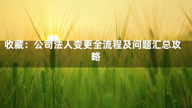 收藏：公司法人变更全流程及问题汇总攻略