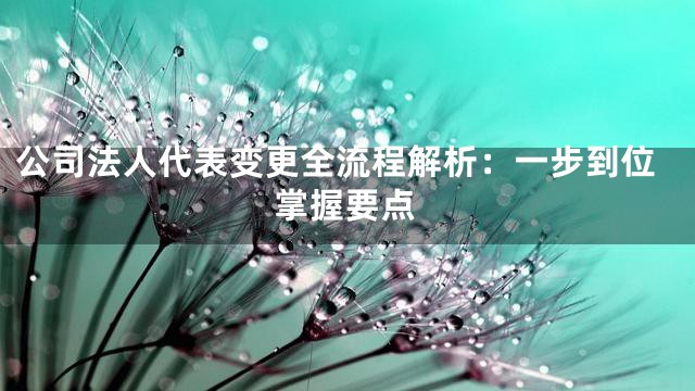 公司法人代表变更全流程解析：一步到位掌握要点