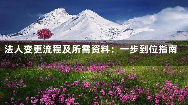 法人变更流程及所需资料：一步到位指南