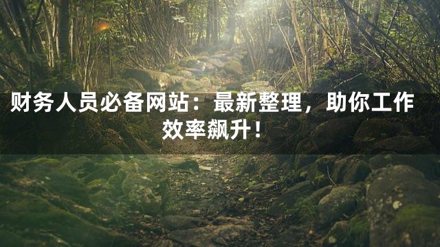 财务人员必备网站：最新整理，助你工作效率飙升！