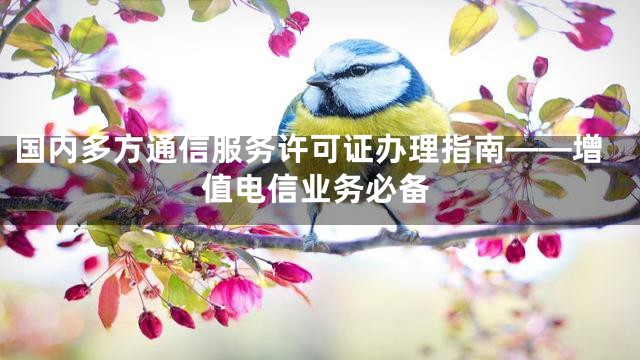 国内多方通信服务许可证办理指南——增值电信业务必备